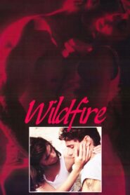 Wildfire (1988) online