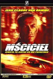 Mściciel (2004) online