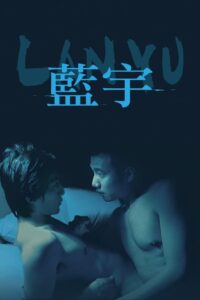 蓝宇 (2001) online