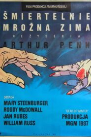 Śmiertelnie mroźna zima (1987) online