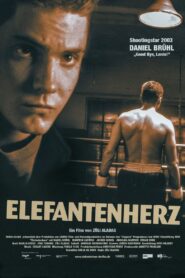 Elefantenherz (2002) online