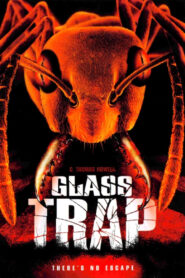 Glass Trap (2005) online