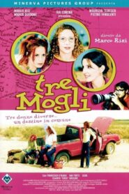 Tre mogli (2001) online