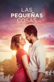 Las Pequeñas Cosas (2024) online