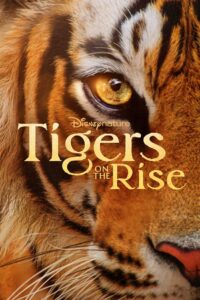 Tigers on the Rise (2024) online