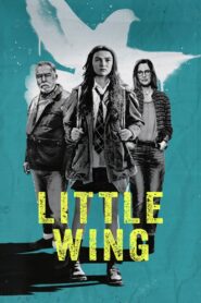 Little Wing (2024) online