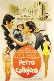 Perro callejero (1980) online