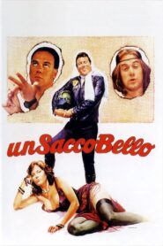 Un sacco bello (1980) online