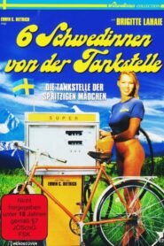 Sechs Schwedinnen von der Tankstelle (1980) online